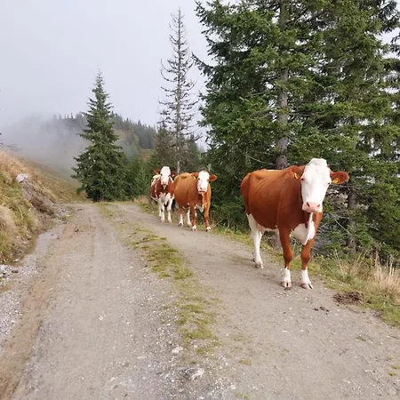 Burnstein Lägenhet *