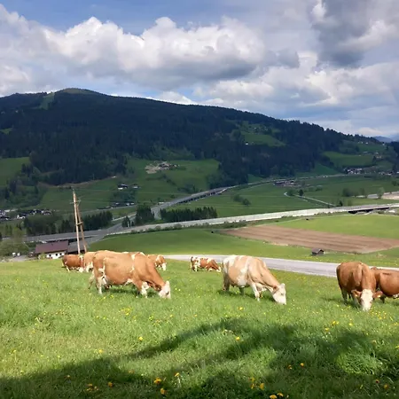 Burnstein Appartamento Flachau