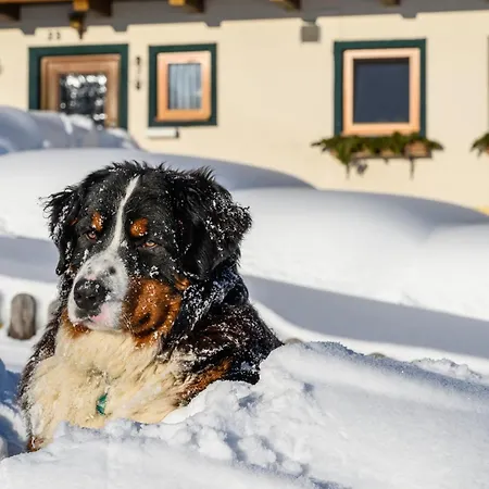 Burnstein Appartamento