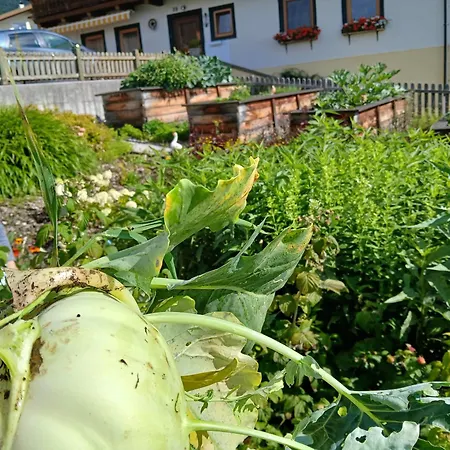 Burnstein Appartamento *